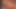 Seksi latin sarışın götünü siktiriyor