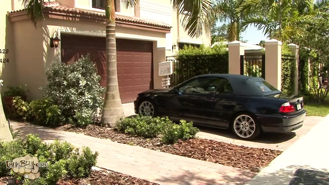 Anthony Foster + Breion Diamond + Pürüzsüz