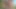 Amatör sürtükler filme alınırken büyük 4_sexy esmer arkadaşıyla plajda seks yapıyor