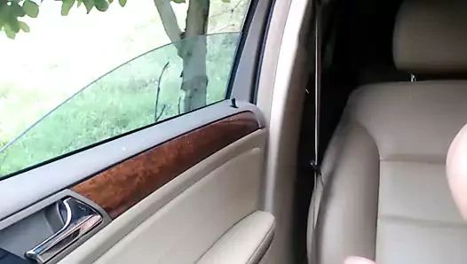 Arabada düşen şeytan onu büyülü kedi ile oynuyor