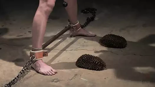 Nomad - başlangıç