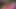Seksi iri güzel kadın jucielussie ile güzel mastürbasyon