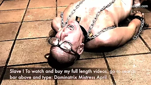 Dominatrix sahibe April - kölenin ağzına işiyor ve beyin yıkama