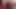 Klas kedicikler sahne 3_busty lezbiyen arkadaşlar yeni takma yaraklarını birlikte deniyor