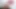 Riley Reid Prens Yahshua Canavar Büyük Zenci Yarağı Tarafından Sikiliyor Ve Dölünü Yutuyor