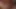 Geil ins flashlight gerotzt