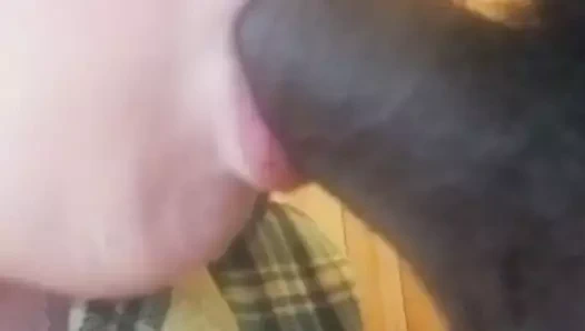 babanın çikolatası