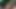 Güzel Olgunları Aletimi Emmeye Baştan Çıkarıyorum