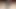 Hint eş köpek