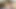 Yapay penis user dylan erkek geyik emme twink horoz önce eyersiz