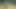 Modern seksi tarz 3 ateşli seksi orta yaşlı seksi kadın doğada yürüyor. Taytlı BÜYÜK GÖTLÜ VE BÜYÜK GÖTLÜ. Seksi bir ta ile ateşli bir yaz günü