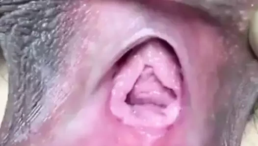 Yakın çekim amcık