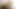 Seksi travesti Lohara Lomark götüne dildo alıyor