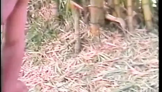 Dik Brezilya twink alır o yukarı onun göt ve verir kafa