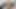 Güzel sarışın kız sevimli vajinasına dildo sokuyor
