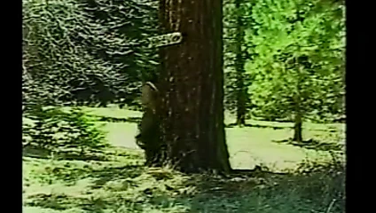 Tıraşlı günahkarlar 1 (1987)