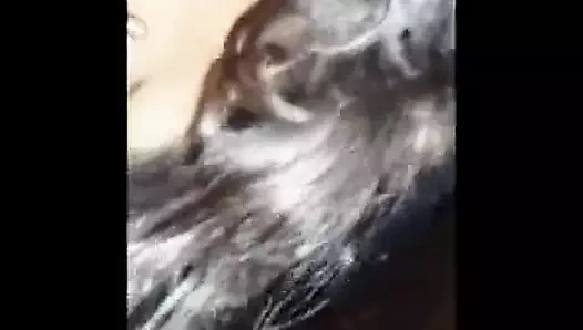 Urduca ve Hintçe ilk kez seks, sik sürme, desi teyze video