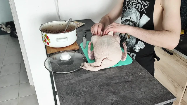 Doldurulmuş ördek