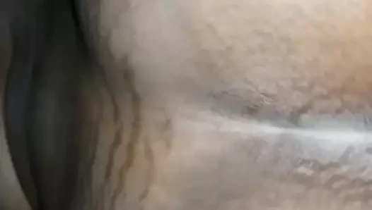 Büyük ganimet t,t ve silk