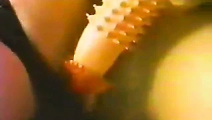 la mia porca