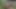 Seksi büyük memeli sarışın kızlar mastürbasyon yapıyor, amcık sikişi, üçlü seks