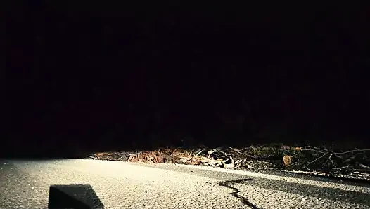 Ağzımı sik ve dölle doldur