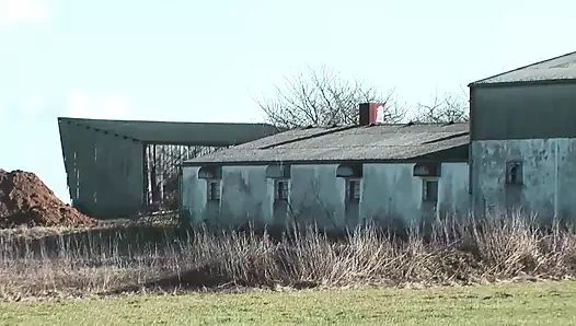 İç çamaşırlı domuz tombul dağınıklığı baloncukları yalamak istiyor