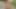 Azgın Asyalı sürtükler açık havada porno filmlerinde aşağı iniyor ve ıslak oluyor.