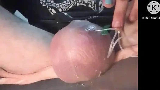 Tombul ve aç kesem daha fazlasını istiyor