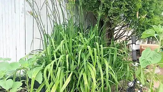 gardend outside pissing fun