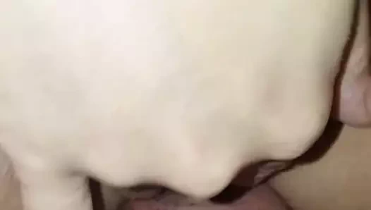 Komsinica saraybosna