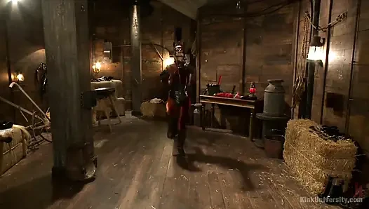 Yeni evcil hayvan veya yeni eğitmen için evcil hayvan oyunu