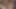 Küçük memeli travesti Byanda Spanic yarağa binmeyi seviyor