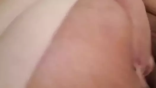 Aşk onu şişman kedi
