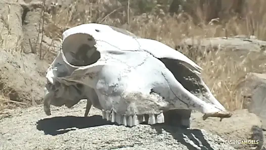 Sarışın kaltakların çantasını almışlar ve sonunda vahşi bir çöl partisi yapmış.