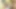 Orta yaşlı seksi kadın erkek delilerinin anal sikiş ile sert grup sekse ihtiyacı var
