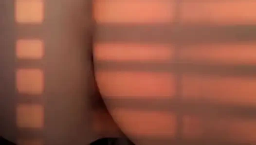 Linda bunda.