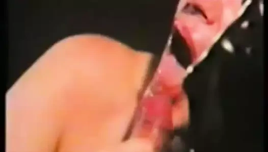 Die liebenstollen rittersleut (profesyonel film)