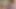 Trans melekler - ella nova ve tgirl natalie mars sigara içen ateşli anal egzersizden önce birlikte esnetiyor