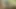 Güzel zenci kadın büyük zenci yarağı tarafından sikiliyor
