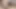 Tam video. Seksi kızıl zenci genovese ve çikolataya arka çıktılar sadece Rylee Don Prince tarafından sikiliyor