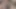 Kamera gösterisi seyircisinin önünde göt yalıyor - takım jerica