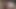 VIDEO 529