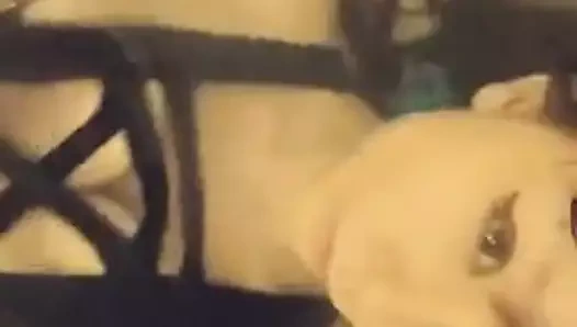 Bu eğlenceli bir mayo