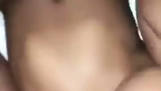 Büyük kaltak siyah