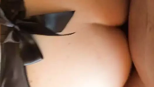 Jartiyer kemerinde köpek