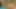 Güzel bir öğrenci porno izlemek için ders çalışmaktan sonra eve döndü