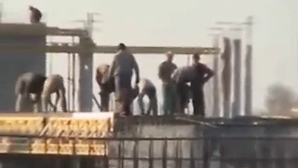 Tera sevinç kırlangıç ​​açık