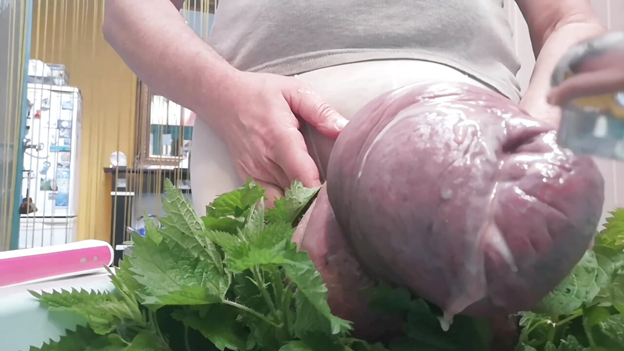 Isırgan otu ve thootbrush ile boşalıyor