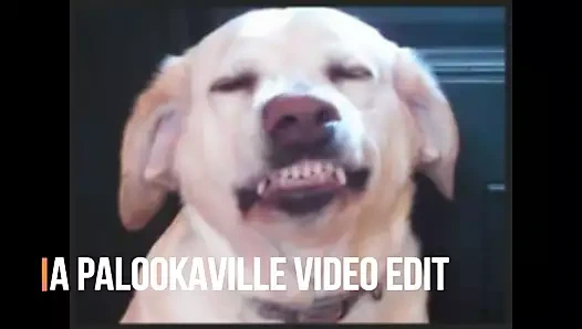 Depeche modu - efendi ve hizmetçi (pmv)